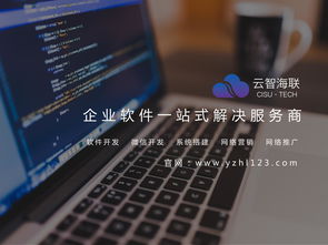 云智海聯(lián)時代，工業(yè)軟件定制開發(fā) 企業(yè)數(shù)字化轉(zhuǎn)型的核心引擎