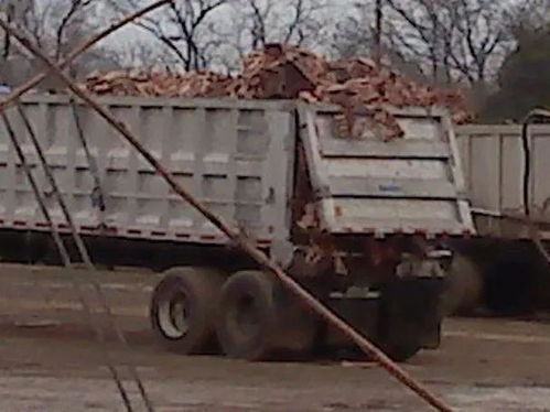 擴散,美國知名網站曝光,很多工廠回收動物副產品和廚房垃圾做寵物糧 買進口糧的鏟屎官需注意了